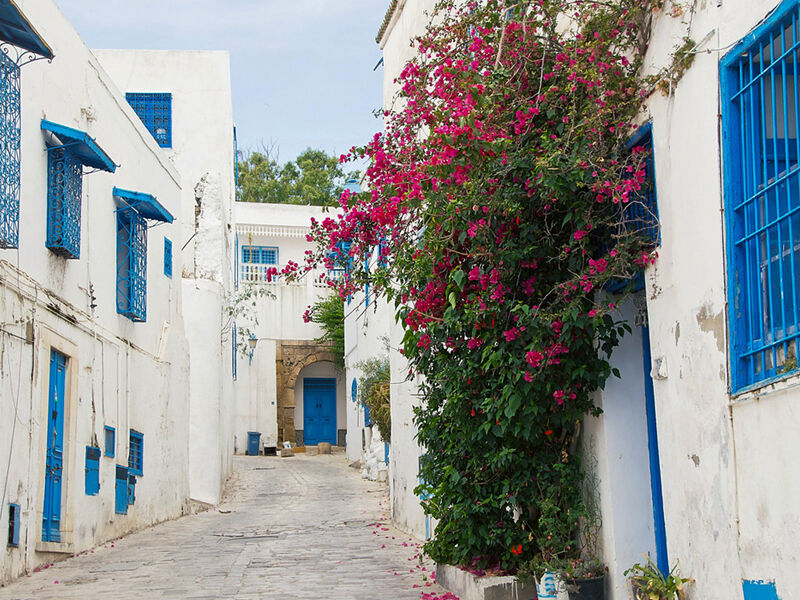 Görkemli Tunus ve Antik Kentler 3 Gece - THY İle (2025 Sonbahar - Kış Dönemi) Yılbaşı Özel (Yılbaşı Gala Yemeği Dahil) AT1298