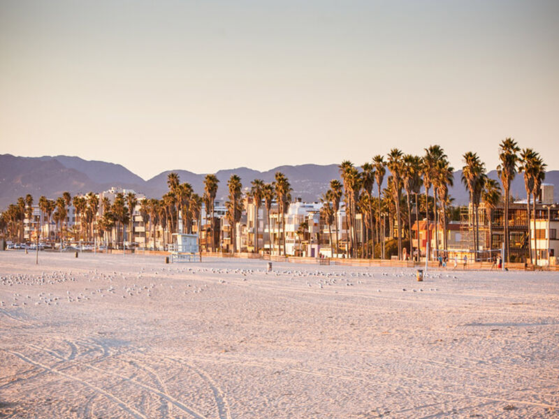 LOS ANGELES 2026 AF (LAX-LAX) 5 GECE