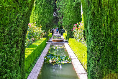 Comfort İspanya & Endülüs Turu Türk Hava Yolları ile 7 Gece Ekstra Turlar Dahil BCN-MAD 2026 Dönemi