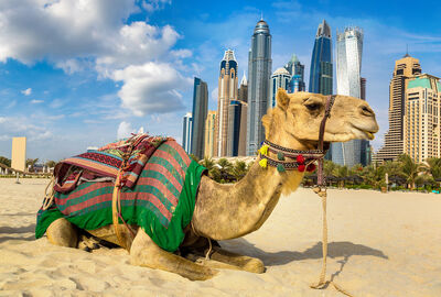 Görkemli Dubai & Lüksün Başkenti 3 Gece - AJET ile (2026 İlkbahar-Yaz Dönemi) AT1334