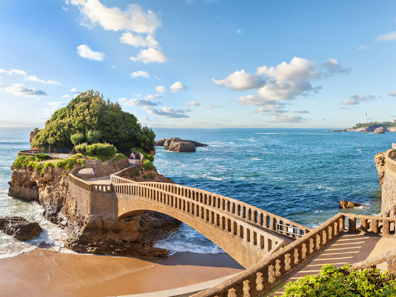 BASKLAR VE GÜNEY FRANSA 2026 PC (MRS-BIO)