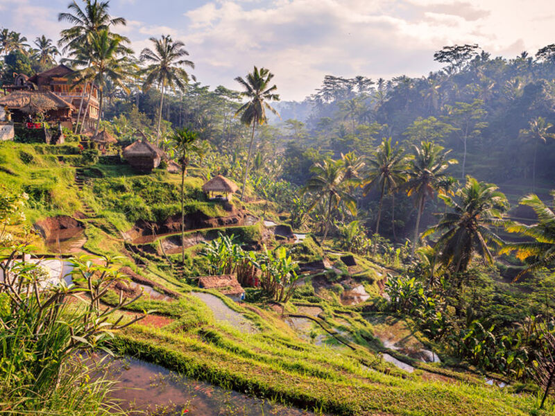 BALİ 2025 TK (DPS-DPS)