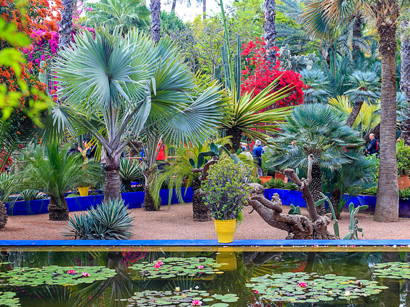 Comfort Fas & Sahra Çölü Turu (Çölde Kamp Konaklamalı) Türk Hava Yolları ile 7 gece Konaklamalı - (Ekstra Turlar ve Akşam Yemekleri Dahil ) RAK - CMN