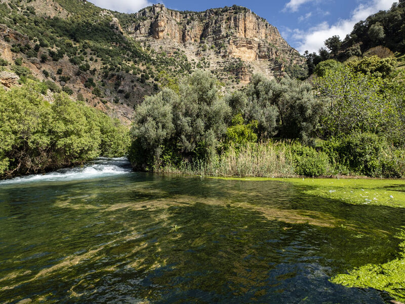 Comfort Fas & Sahra Çölü Turu (Çölde Kamp Konaklamalı) Türk Hava Yolları ile 7 gece Konaklamalı - (Ekstra Turlar ve Akşam Yemekleri Dahil ) RAK - CMN