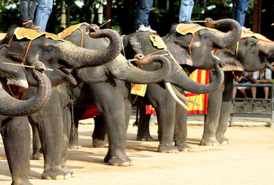 PHUKET & BANGKOK & PATTAYA EK 2025 (HKT-BKK)