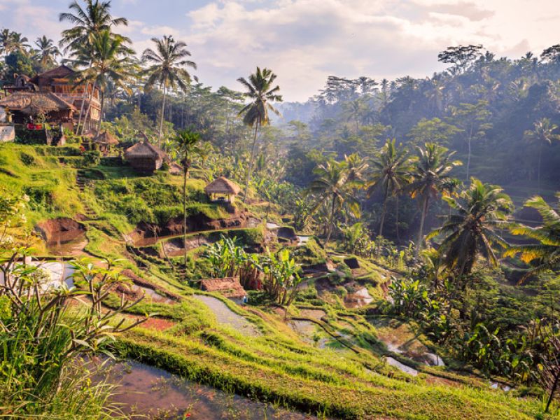 Görkemli Tropikal Ada Bali 6 Gece - Emirates Hava Yolları ile - 24 Mayıs (Kurban Bayramı Özel) AT1366
