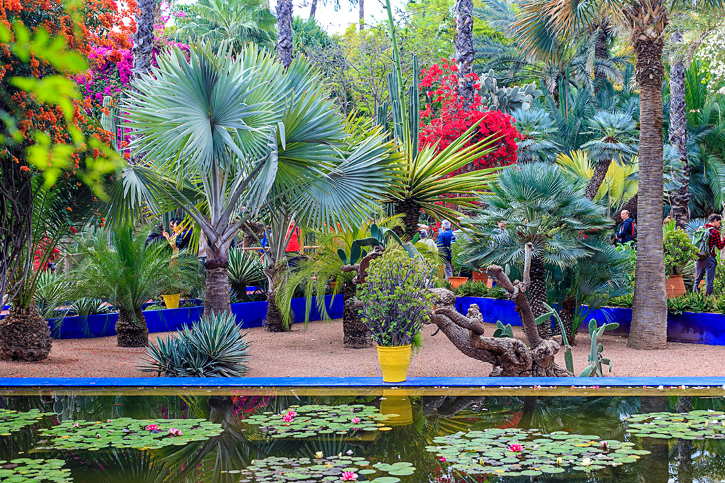 2026 Kış Dönemi Görkemli Fas Krallığı ve Mistik Şehirler (Tüm Turlar ve Akşam Yemekleri Dahil) AT1002
