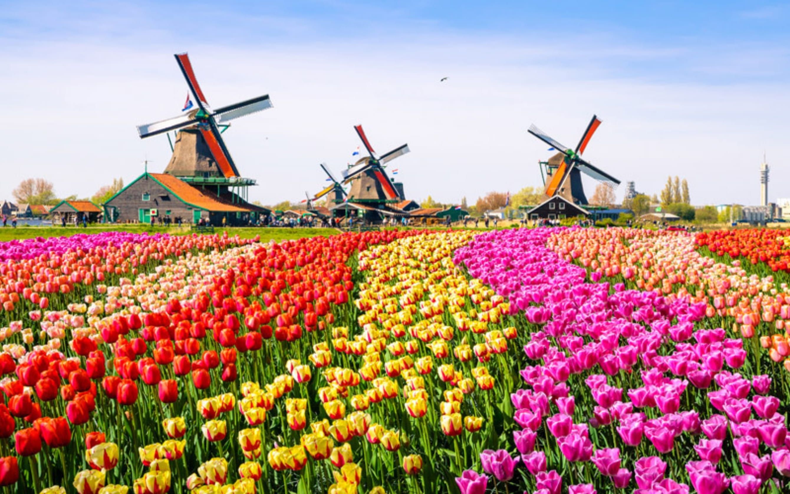 EXPRESS BENELUX & PARİS TURU 2027 YAZ (ORY-AMS) PC
