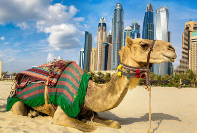 Görkemli Dubai & Lüksün Başkenti 3 Gece Konaklamalı Pegasus Hava Yolları İle Yılbaşı Özel (Dubai Vizesi & Dubai Eski Çarşılar Turu & Yılbaşı Gala Yemeği Dahil) AT1277