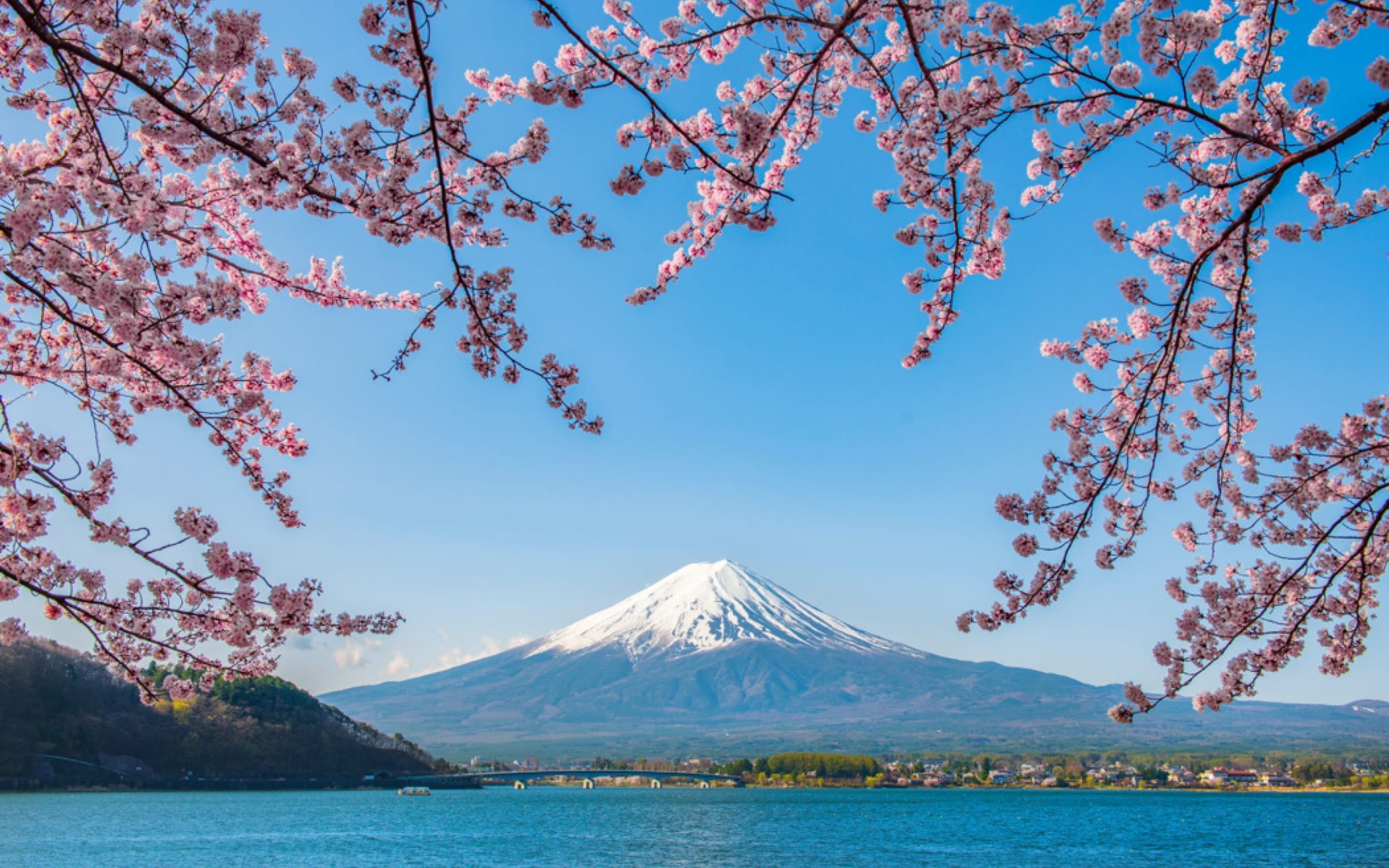Comfort Japonya & Kore Turu Qatar Hava Yolları ile 8 Gece Ekstra Turlar Dahil!! - NRT-ICN
