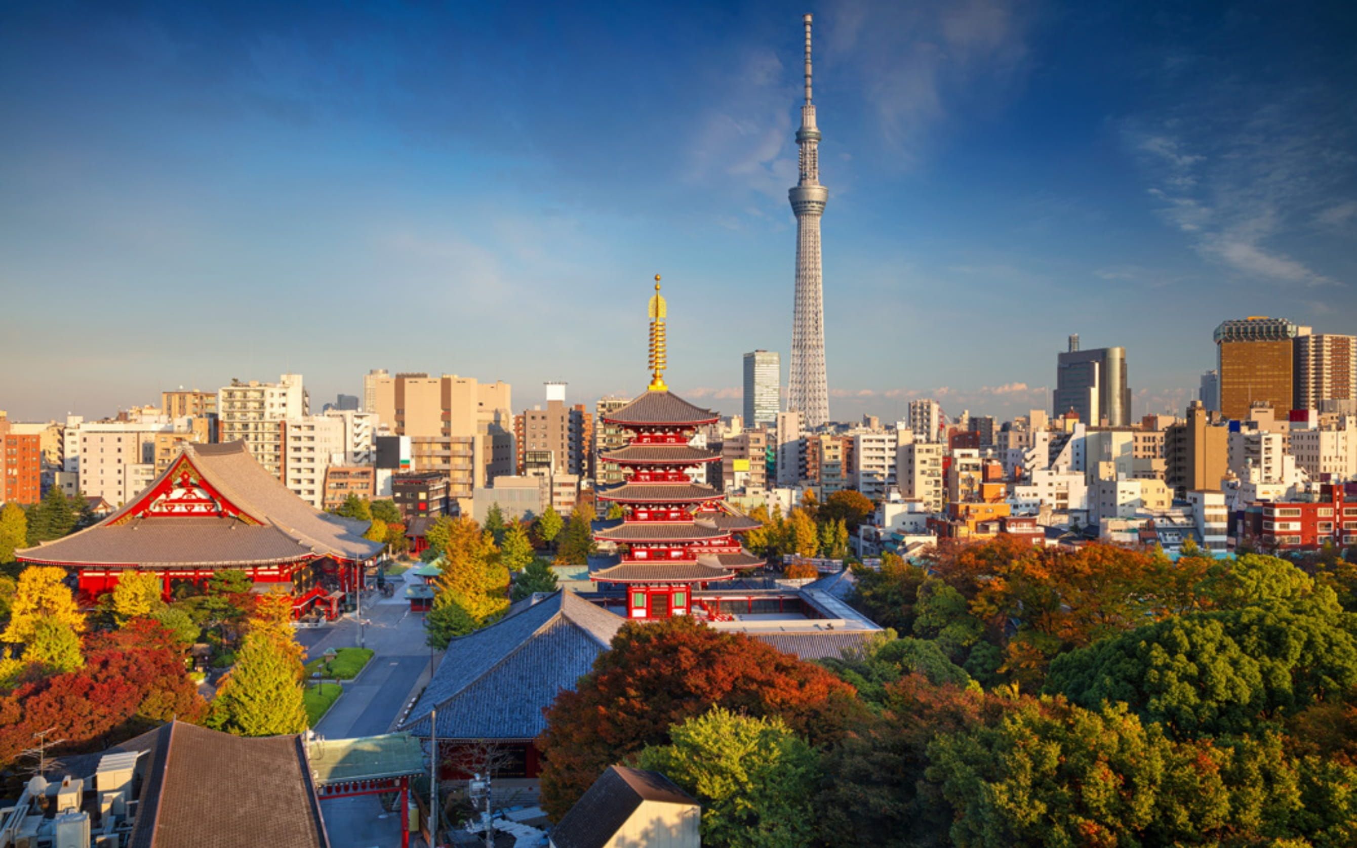 Comfort Japonya & Kore Turu Türk Hava Yolları ile 7 Gece Ekstra Turlar Dahil!! - ICN-NRT -