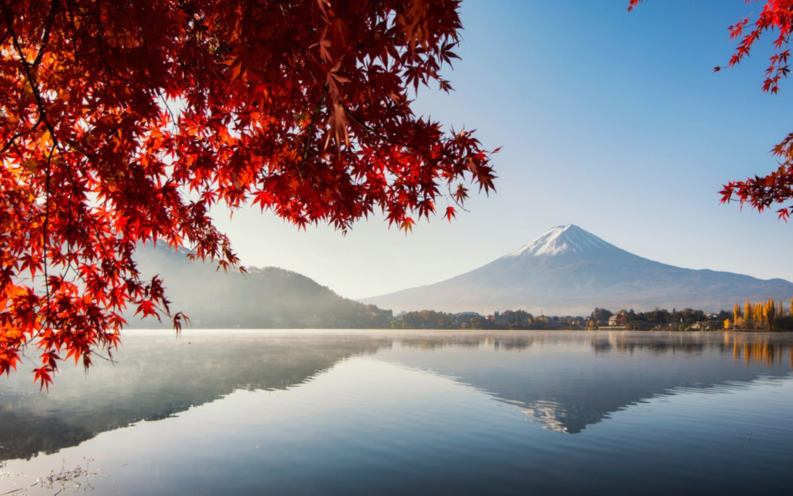 Comfort Japonya Turu Türk Hava Yolları ile 6 gece Ekstra Turlar Dahil ve Çay Seremonisi Dahil Koyo Dönemi NRT-KIX