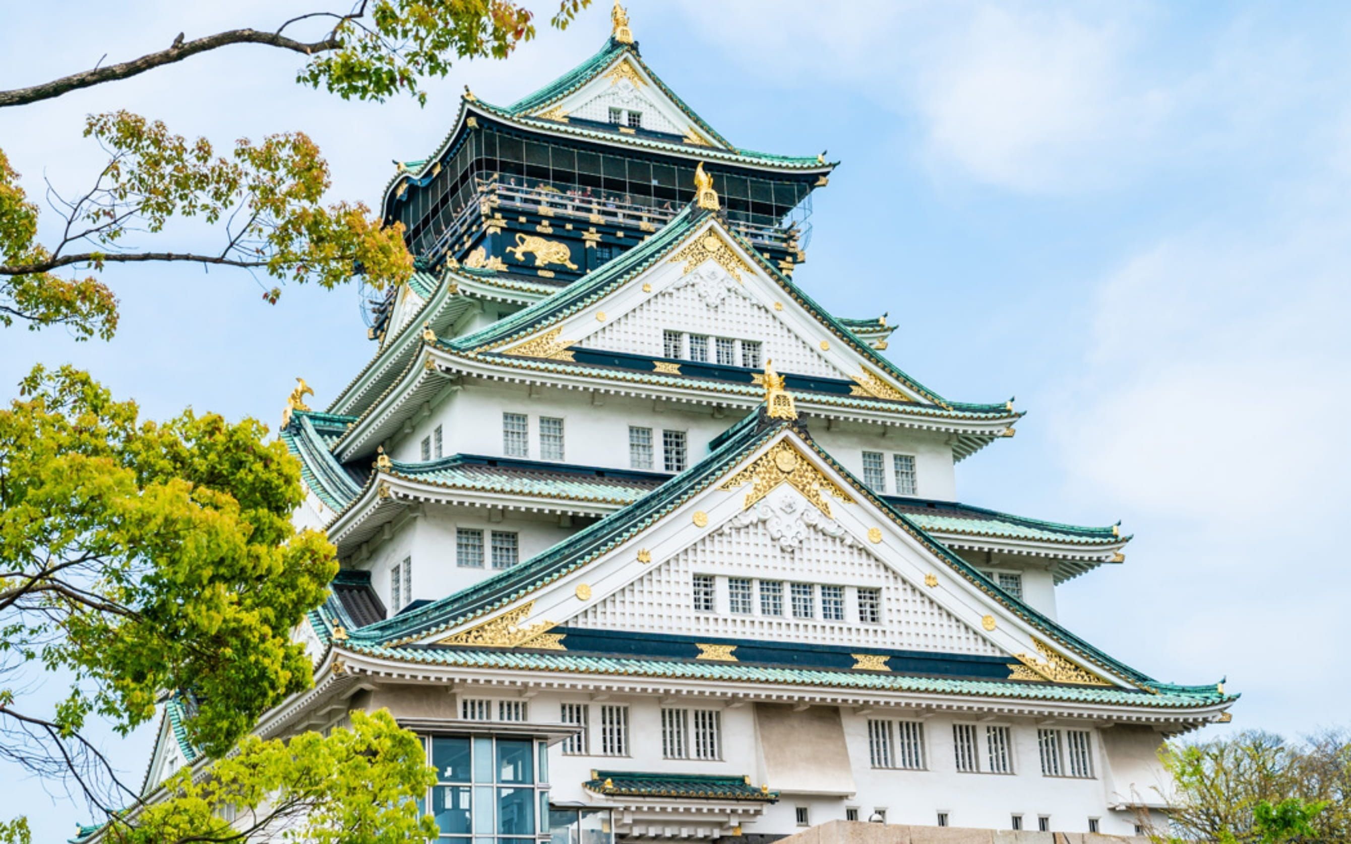 Japonya Serüveni Turu Türk Hava Yolları ile 6 gece NRT-KIX Koyo Dönemi