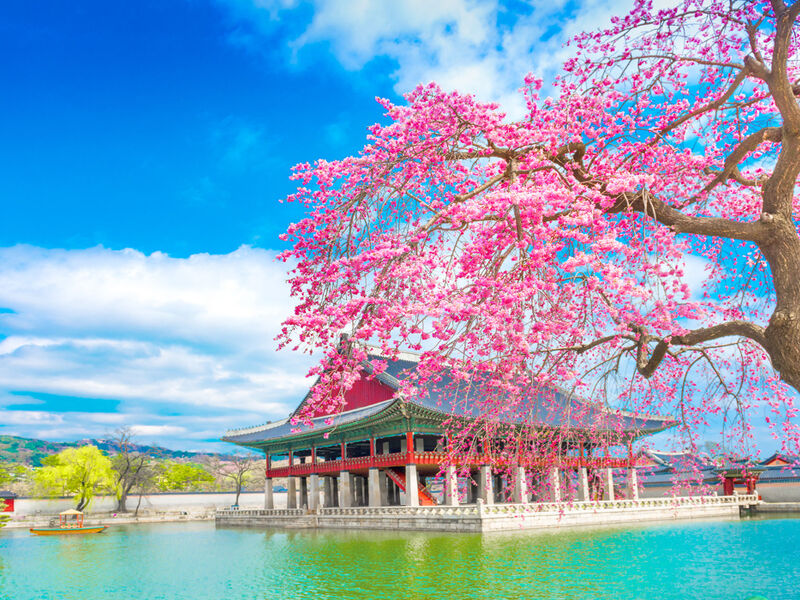 Comfort Japonya Turu  Uçaksız Paket 