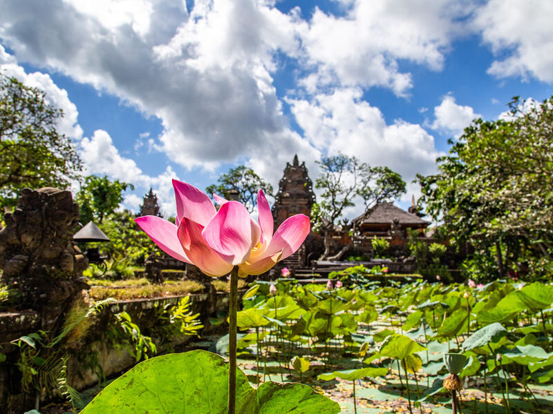 Bali & Ubud Serüveni Turu Türk Hava Yolları ile 6 Gece (DPS-DPS) - Kurban Bayramı 2026 Dönemi 