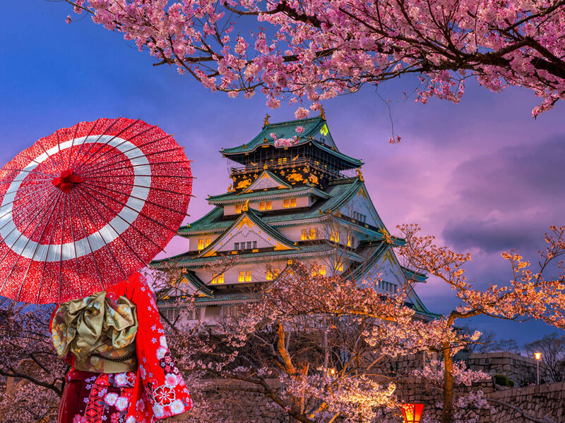 Comfort Kore ve Japonya Turu Türk Hava Yolları ile 9 Gece Ekstra Turlar ve Çay Seremonisi Turlar Dahil 