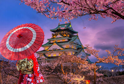 BÜYÜK JAPONYA 2025 (HND-HND)